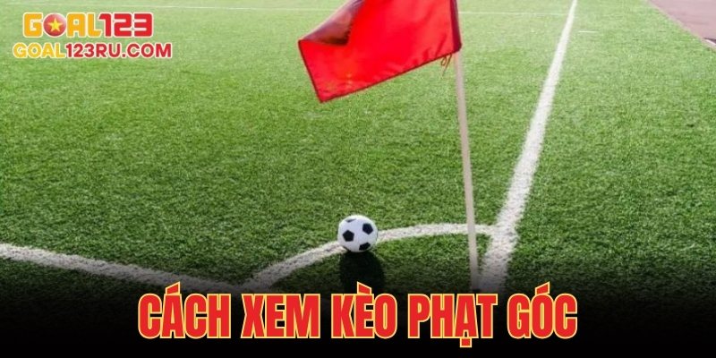 Cách Xem Kèo Phạt Góc Chuẩn Xác Cho Người Mới Năm 2025 9 Cách Xem Kèo Phạt Góc Chuẩn Xác Cho Người Mới Năm 2025