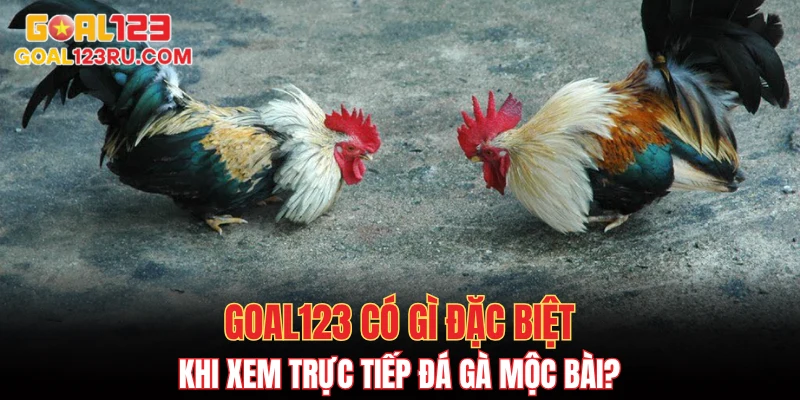 Trực Tiếp Đá Gà Mộc Bài, Xem Cực Đã, Cá Cược Đầy Tay 2 GOAL123 có gì đặc biệt khi xem trực tiếp đá gà Mộc Bài?