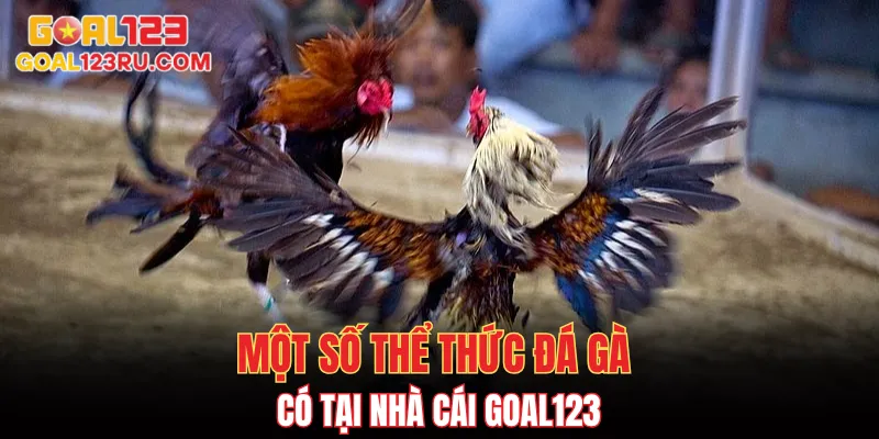 Đá Gà Goal123 - Trải Nghiệm Cá Cược Đỉnh Cao Đá Gà Online 2 Một số thể thức đá gà có tại nhà cái goal123