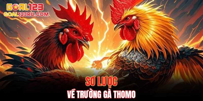 Trường Gà Thomo, Đỉnh Cao Cược Đá, Thắng Ngay Không Chờ 2 Sơ lược về trường gà Thomo