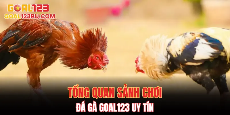 Đá Gà Goal123 - Trải Nghiệm Cá Cược Đỉnh Cao Đá Gà Online 1 Tổng quan sảnh chơi đá gà goal123 uy tín